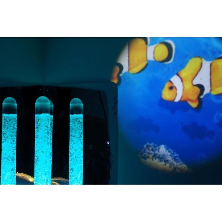 Experia Calming Underwater Adventure Room - Landscape View Clown Fish Projection
