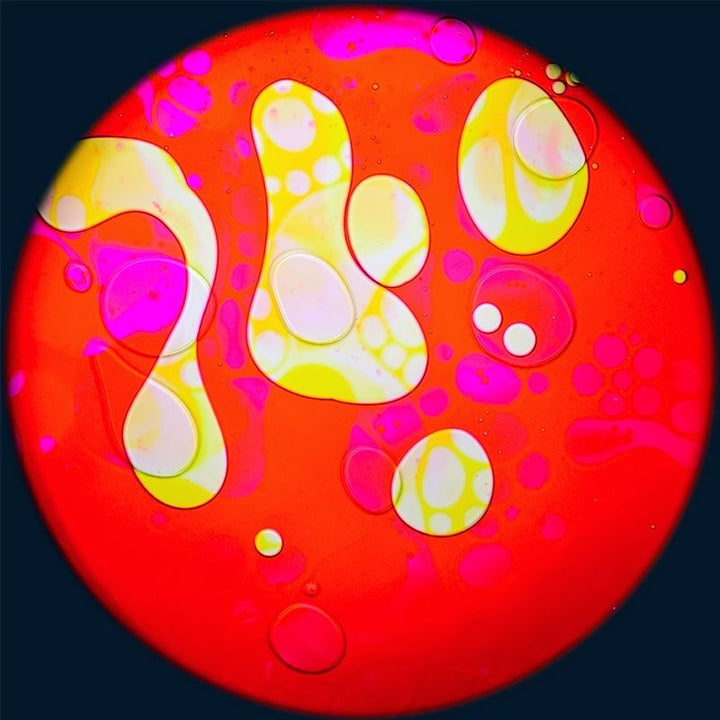 OPTIKinetics Liquid Effect Wheel - Roses Delight
