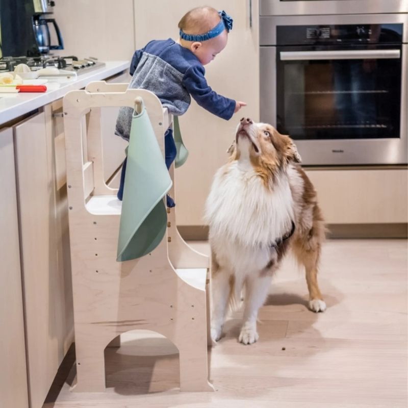 Sapiens Child - KIWI - Kitchen Tower,  Activity and Learning Stool - Baby And Dog