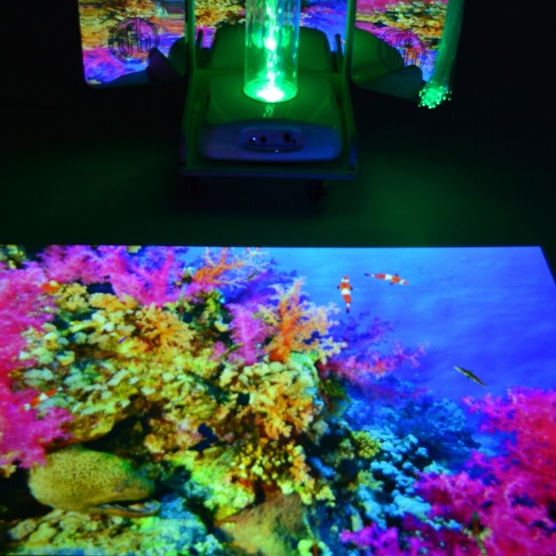 TFH Vecta Budii - Immersive Activities Sensory Cart - Landscape view showcasing the projection on floor