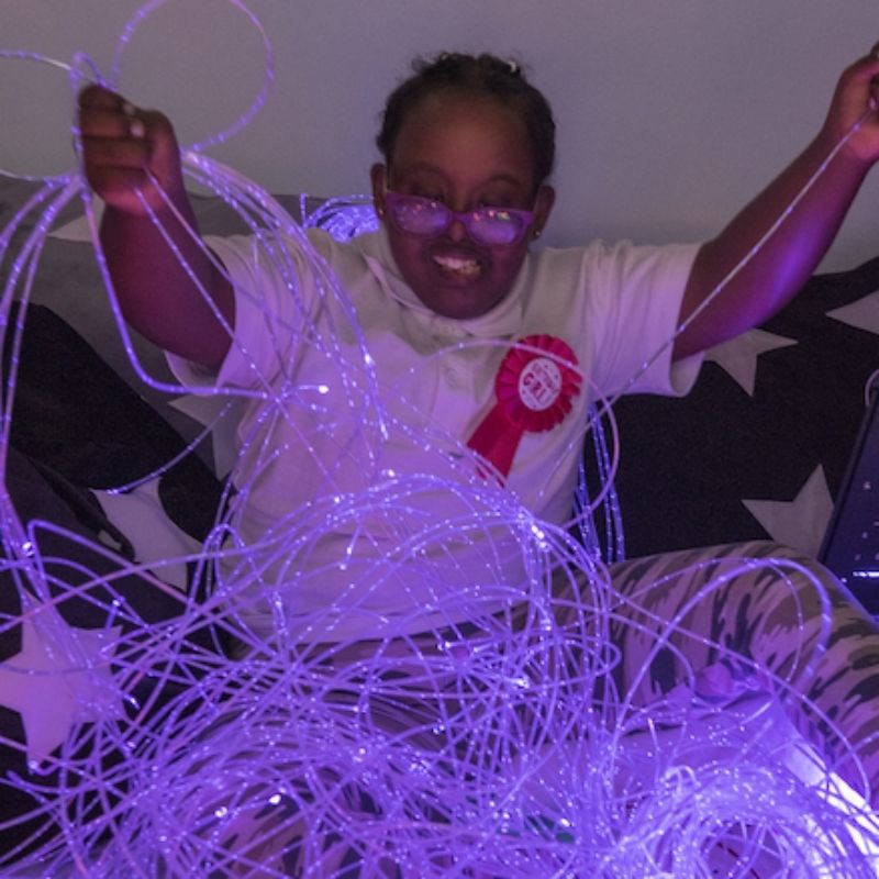 TTS Fibre Optic Tails without Light Source - Active Play Purple Fiber
