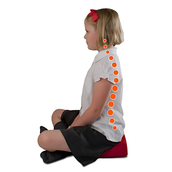 TTS Maxi Wedge - 12 Pack - Clean Left Side View Posture
