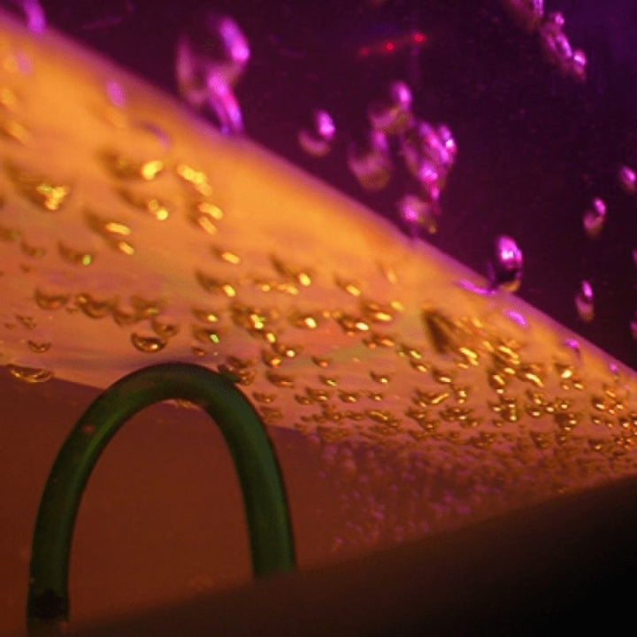 Close-up view of the Experia IRiS+ Bubble Wall with iConverter bundle, showing the LED bubble wall detail and rising bubbles for sensory room visual stimulation