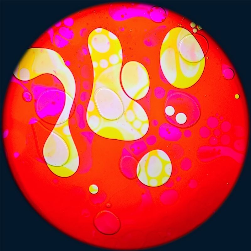 OPTIKinetics 6 inch Liquid Effect Wheel Roses Delight showing the hand-made glass oil projection effect for use with Solar 100 LED and Solar 250 LED sensory projectors