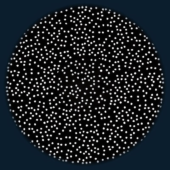 OPTIKinetics 6 inch Picture Effect Wheel Dots displaying colourful dot pattern imagery for visual stimulation and sensory projection in therapy rooms and classrooms