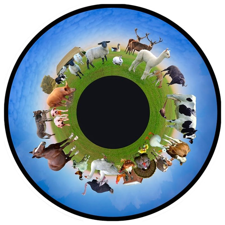 OPTIKinetics 6 inch Picture Effect Wheel Farm Animals displaying farm animal imagery for educational storytelling projection in sensory rooms and early learning environments
