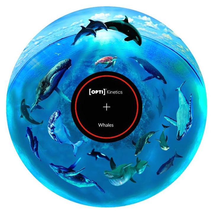 OPTIKinetics 6 inch Picture Effect Wheel Whales showing whale ocean imagery for immersive calming projection in sensory rooms, therapy spaces, and multi-sensory environments