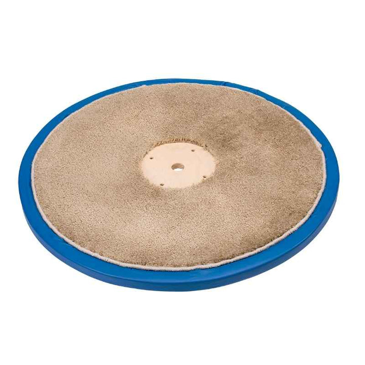 Top-down view of the Southpaw Flexion Disc Swing showing the carpeted disc surface, padded edge, and centre post - sensory integration swing for OT clinics and home therapy