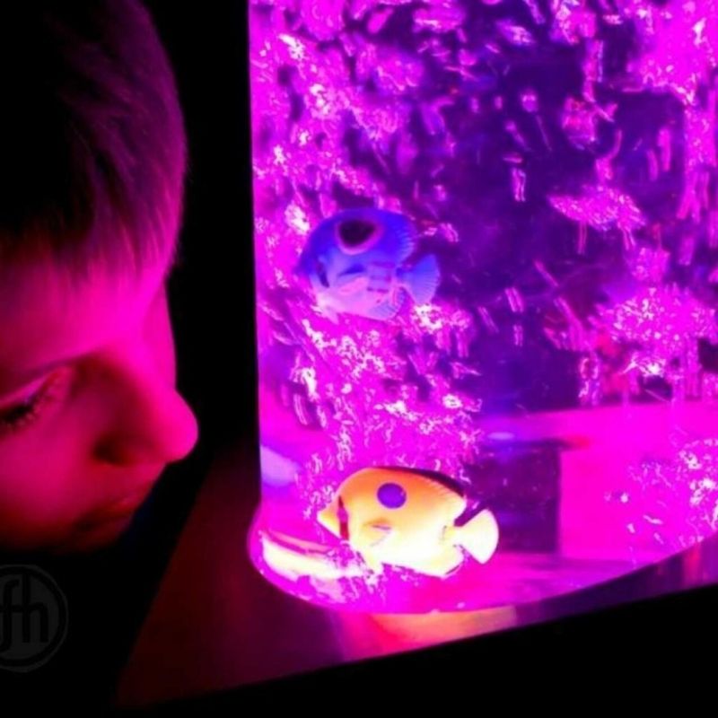 TFH Aquarium Bubble Tube 6-inch diameter showing child in close-up active sensory play, colour-changing LED bubble column for sensory rooms and OT clinics across North America