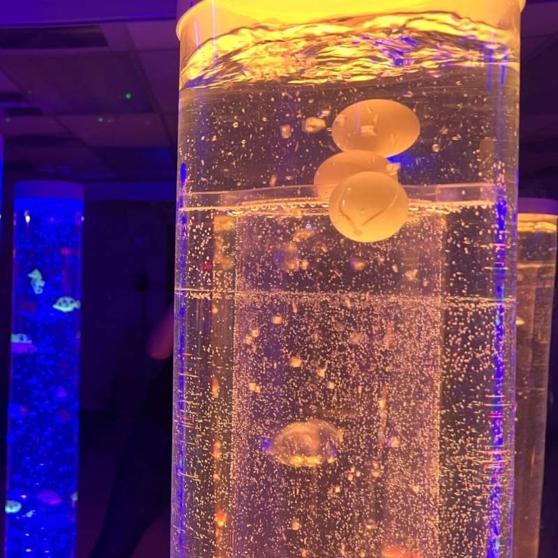 TFH Giant Bubble Tube Insert with cascading beads and balls in a lit sensory room, designed for 8" TFH bubble columns