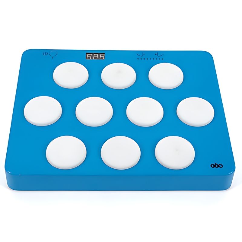 TTS Portable Light Up Reaction Wall Game showing all 10 illuminated buttons, a portable motor skills and hand-eye coordination game for classrooms and therapy rooms