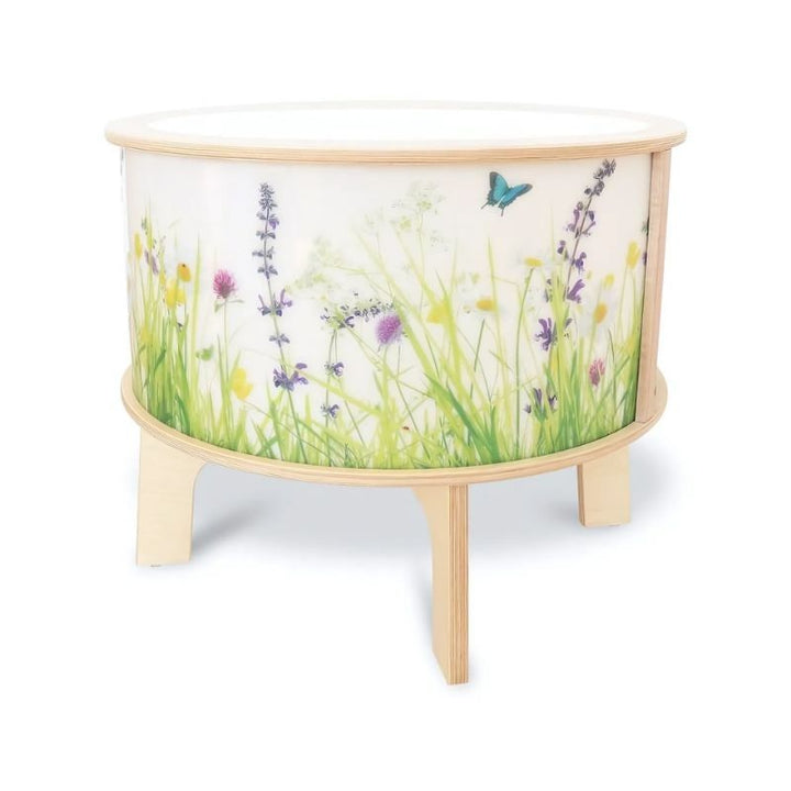 Clean product view of the Whitney Brothers Nature View Radiant LED Light Table showing the shatterproof acrylic top, illuminated nature scene side panels, and 25mm birch plywood legs